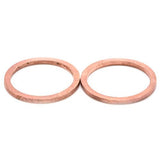 BLOX Racing Fuel Inlet Fitting Crush Washers - 2 Pack